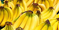 Banana Farming Course
